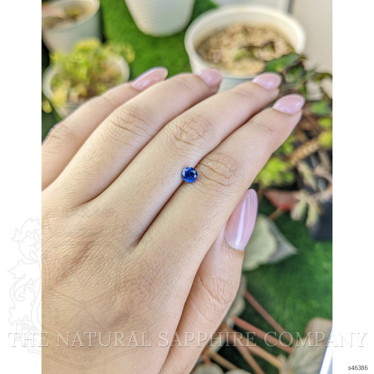 0.50 Ct. Blue Sapphire from Ceylon (Sri Lanka)
