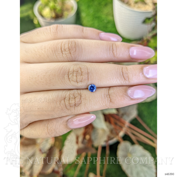 0.45 Ct. Blue Sapphire from Ceylon (Sri Lanka)