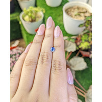 0.66 Ct. Blue Sapphire from Ceylon (Sri Lanka) Life Style