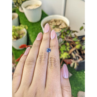 0.89 Ct. Bi Color / Parti Sapphire from Ceylon (Sri Lanka) Life Style