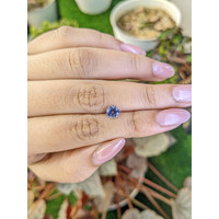 0.89 Ct. Bi Color / Parti Sapphire from Ceylon (Sri Lanka) Life Style