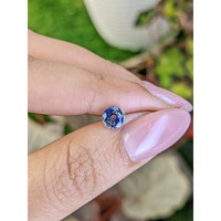0.89 Ct. Bi Color / Parti Sapphire from Ceylon (Sri Lanka) Life Style