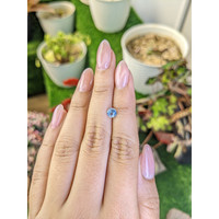 0.66 Ct. Bi Color / Parti Sapphire from Ceylon (Sri Lanka) Life Style