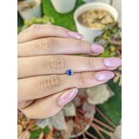 0.41 Ct. Bi Color / Parti Sapphire from Ceylon (Sri Lanka) Life Style