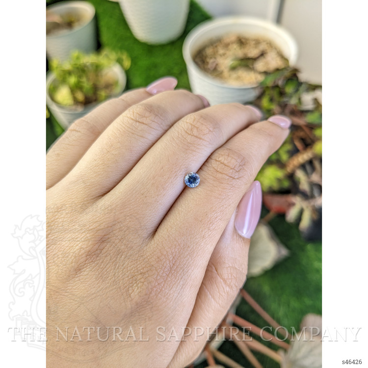 0.59 Ct. Bi Color / Parti Sapphire from Ceylon (Sri Lanka)