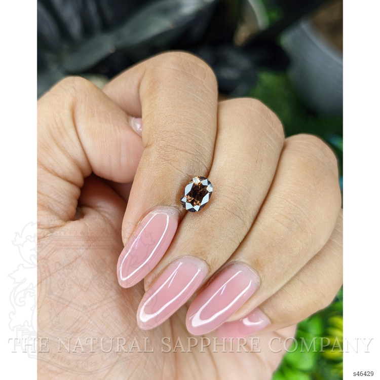 1.37 Ct. Orangish Brown Sapphire from Ceylon (Sri Lanka)