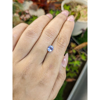 1.13 Ct. Blue Sapphire from Ceylon (Sri Lanka) Life Style