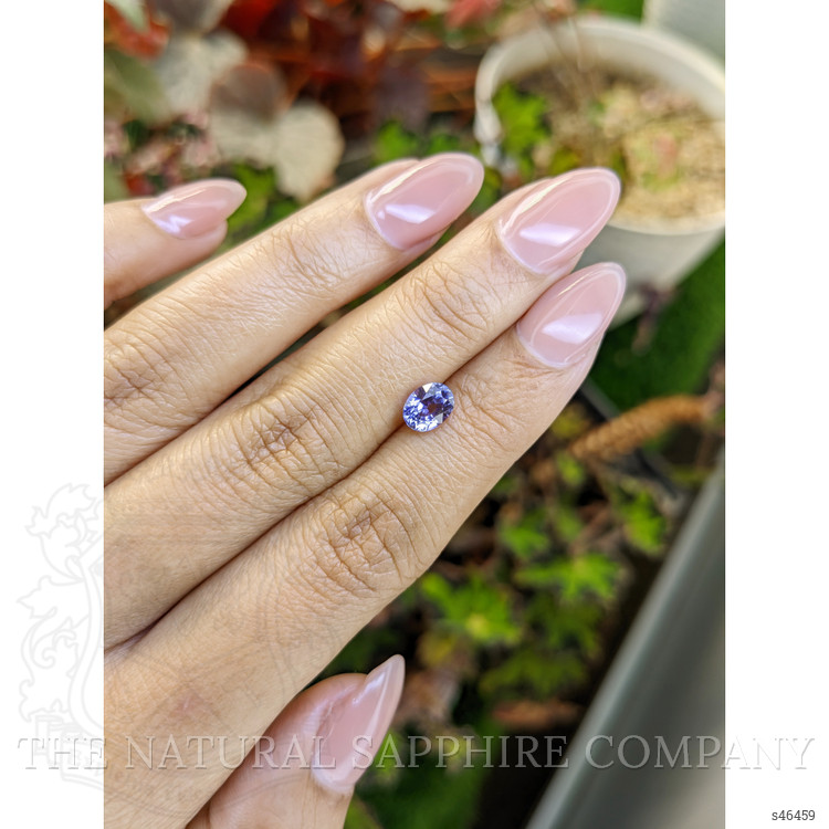 1.26 Ct. Bluish Purple Sapphire from Ceylon (Sri Lanka)