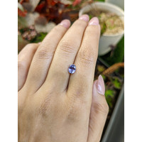 1.26 Ct. Bluish Purple Sapphire from Ceylon (Sri Lanka) Life Style