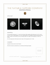 Jewelry Appraisal