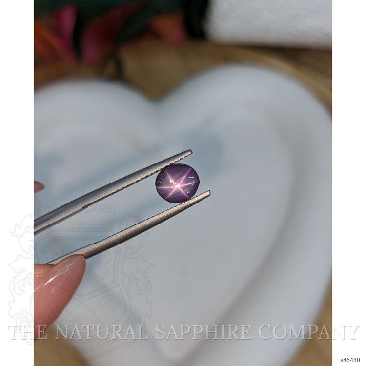 1.55 Ct. Purple Star Sapphire from Ceylon (Sri Lanka)