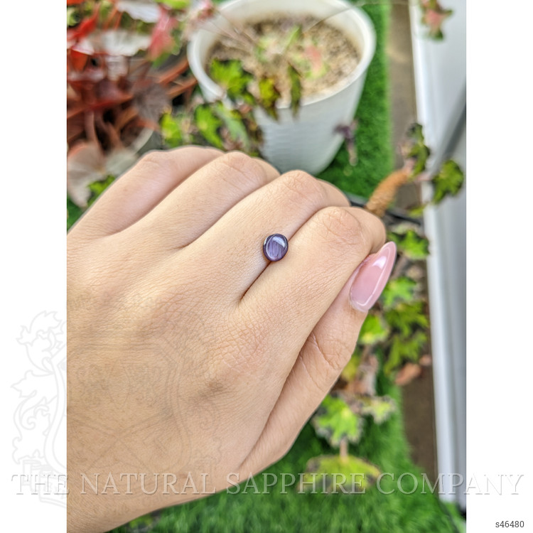 1.55 Ct. Purple Star Sapphire from Ceylon (Sri Lanka)
