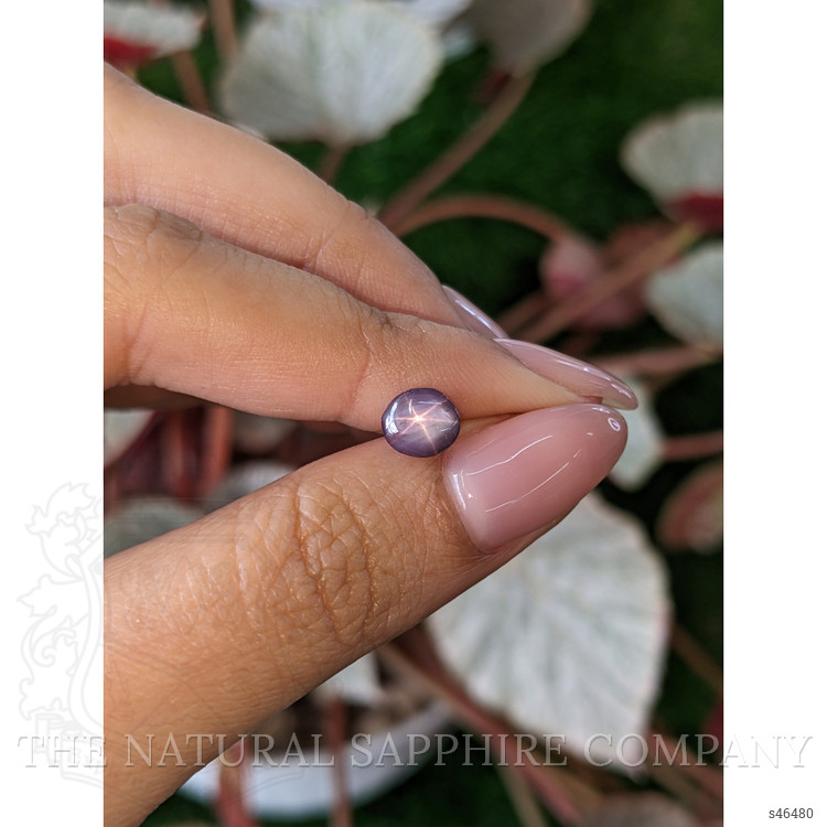 1.55 Ct. Purple Star Sapphire from Ceylon (Sri Lanka)