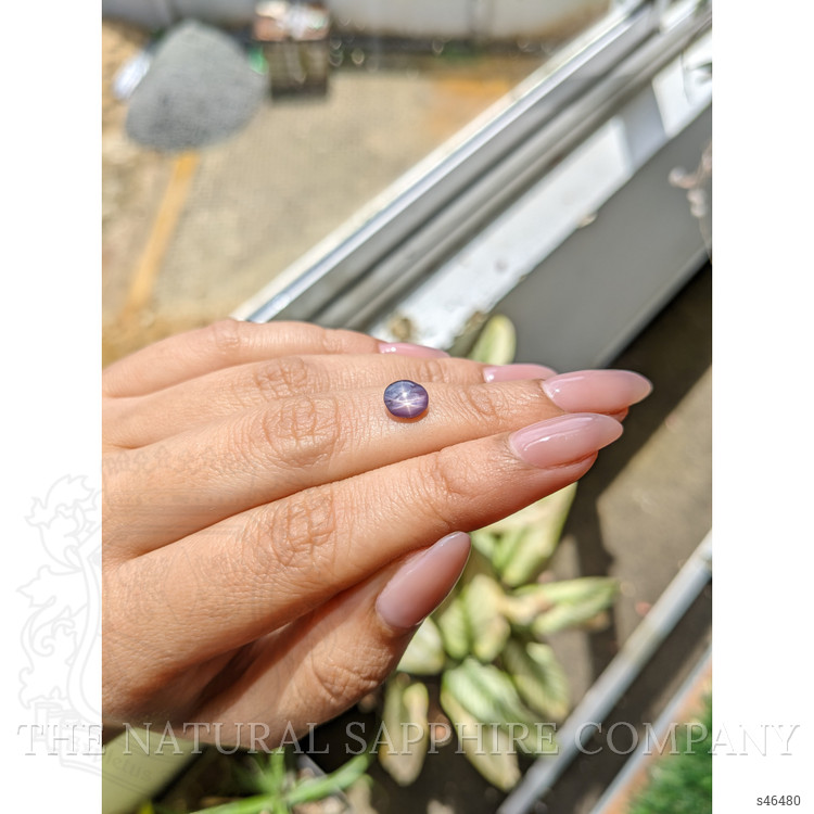 1.55 Ct. Purple Star Sapphire from Ceylon (Sri Lanka)