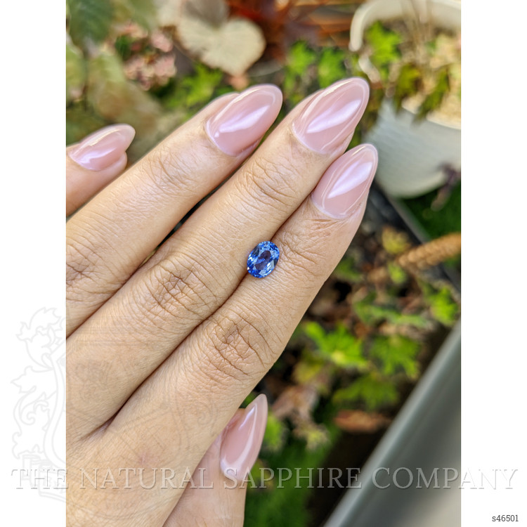 1.17 Ct. Blue Sapphire from Ceylon (Sri Lanka)