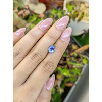 1.45 Ct. Blue Sapphire from Ceylon (Sri Lanka) Life Style
