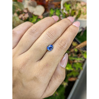 1.70 Ct. Blue Sapphire from Ceylon (Sri Lanka) Life Style