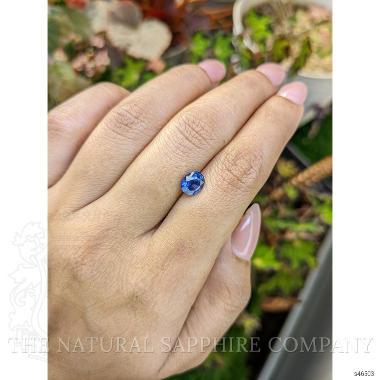 1.70 Ct. Blue Sapphire from Ceylon (Sri Lanka)