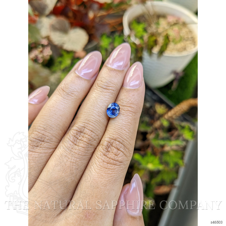 1.70 Ct. Blue Sapphire from Ceylon (Sri Lanka)