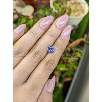 1.58 Ct. Blue Sapphire from Ceylon (Sri Lanka) Life Style