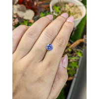 1.58 Ct. Blue Sapphire from Ceylon (Sri Lanka) Life Style