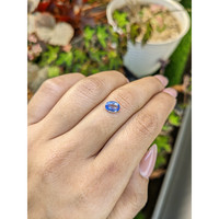 0.85 Ct. Blue Sapphire from Ceylon (Sri Lanka) Life Style