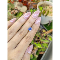 1.24 Ct. Blue Sapphire from Ceylon (Sri Lanka) Life Style