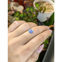 1.36 Ct. Blue Sapphire from Ceylon (Sri Lanka) Life Style