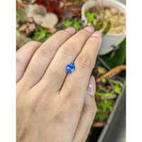 2.45 Ct. Blue Sapphire from Ceylon (Sri Lanka) Life Style