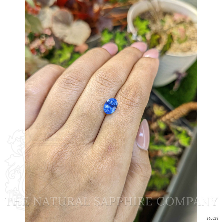 2.45 Ct. Blue Sapphire from Ceylon (Sri Lanka)