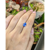 2.45 Ct. Blue Sapphire from Ceylon (Sri Lanka) Life Style