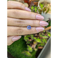 1.60 Ct. Violet Sapphire from Ceylon (Sri Lanka) Life Style