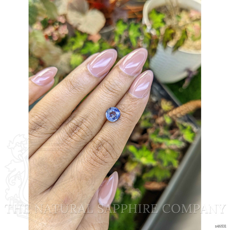 1.60 Ct. Violet Sapphire from Ceylon (Sri Lanka)