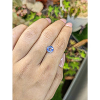 1.60 Ct. Violet Sapphire from Ceylon (Sri Lanka) Life Style