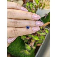 0.97 Ct. Blue Sapphire from Ceylon (Sri Lanka) Life Style