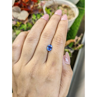 1.64 Ct. Blue Sapphire from Ceylon (Sri Lanka) Life Style