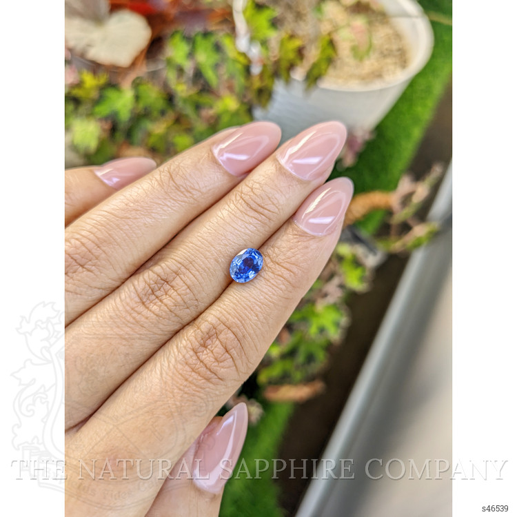 1.64 Ct. Blue Sapphire from Ceylon (Sri Lanka)