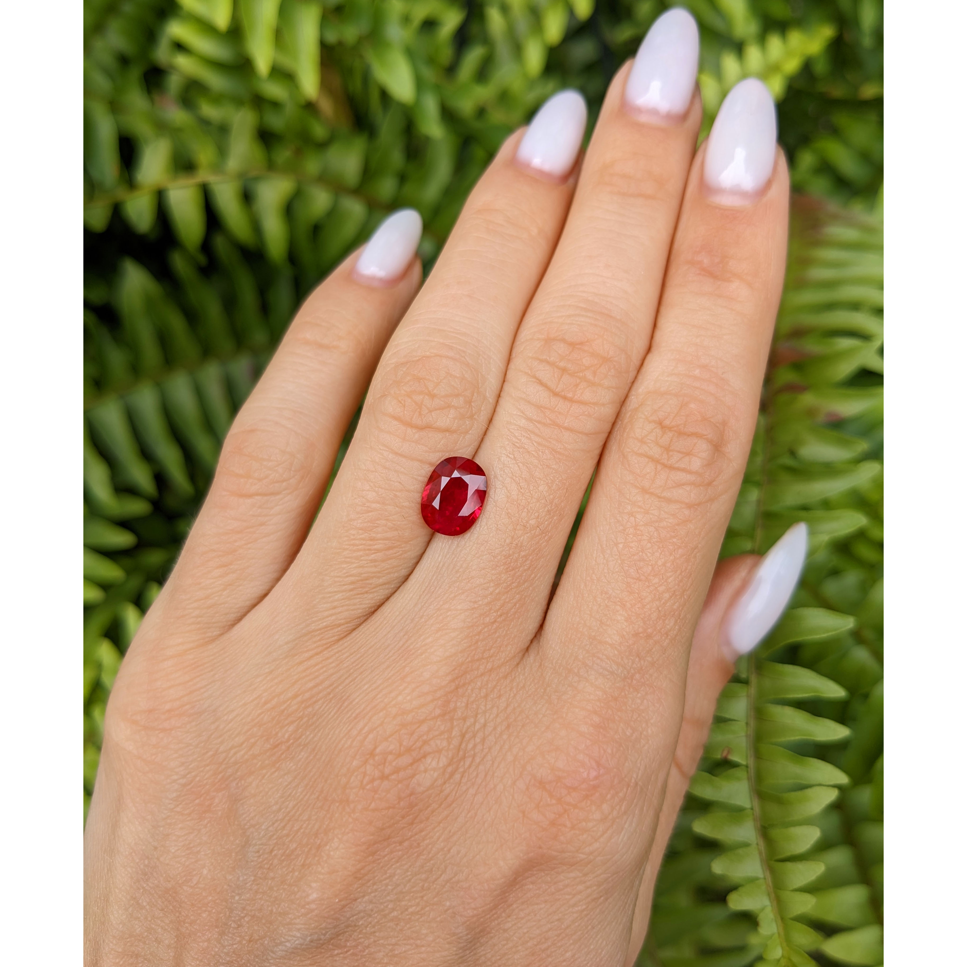 その他 Ruby Lab Bright Red Ruby – 8.03ct - Jeff Davies & Son Gemstones