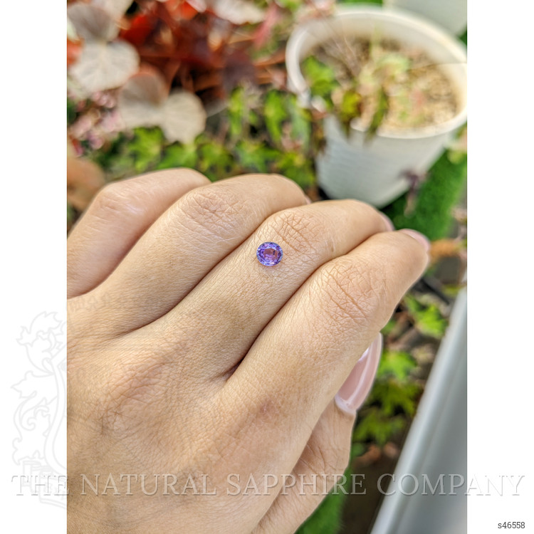 0.55 Ct. Purple Sapphire from Ceylon (Sri Lanka)