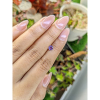 0.55 Ct. Purple Sapphire from Ceylon (Sri Lanka) Life Style