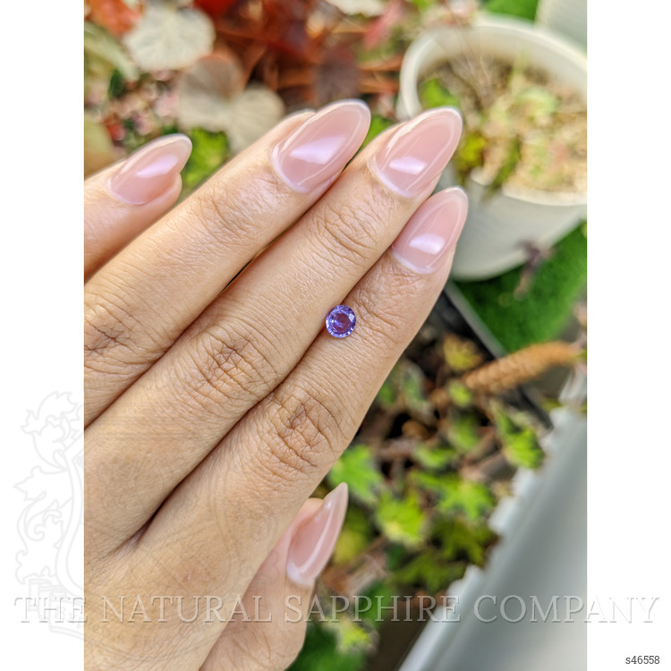 0.55 Ct. Purple Sapphire from Ceylon (Sri Lanka)