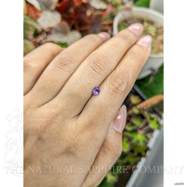 0.44 Ct. Purple Sapphire from Ceylon (Sri Lanka)