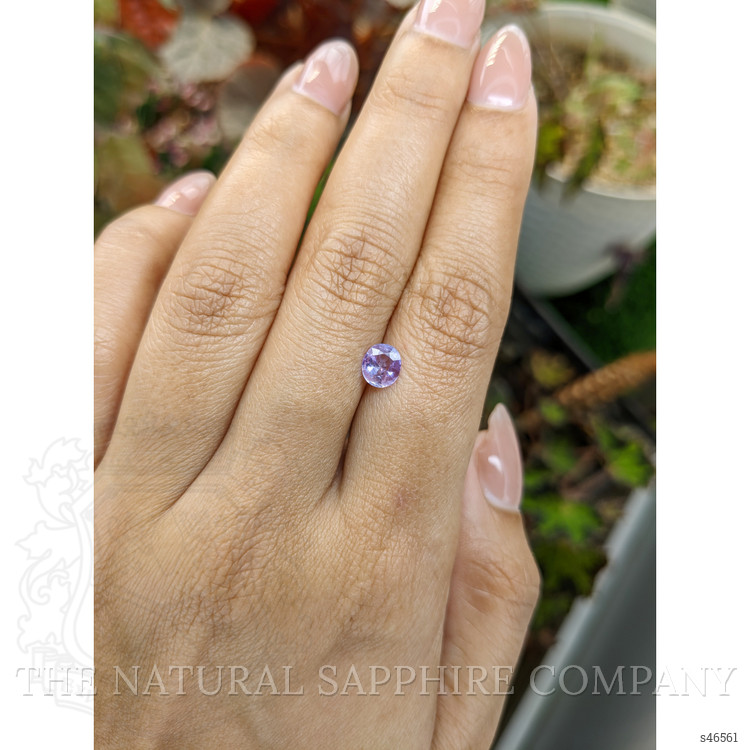 0.59 Ct. Pinkish Purple Sapphire from Ceylon (Sri Lanka)