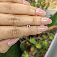 0.32 Ct. Purplish Pink Sapphire from Ceylon (Sri Lanka) Life Style