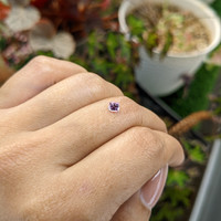 0.32 Ct. Purplish Pink Sapphire from Ceylon (Sri Lanka) Life Style