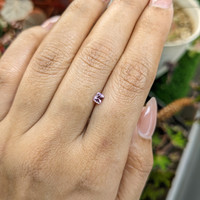 0.32 Ct. Purplish Pink Sapphire from Ceylon (Sri Lanka) Life Style
