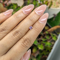 0.32 Ct. Purplish Pink Sapphire from Ceylon (Sri Lanka) Life Style