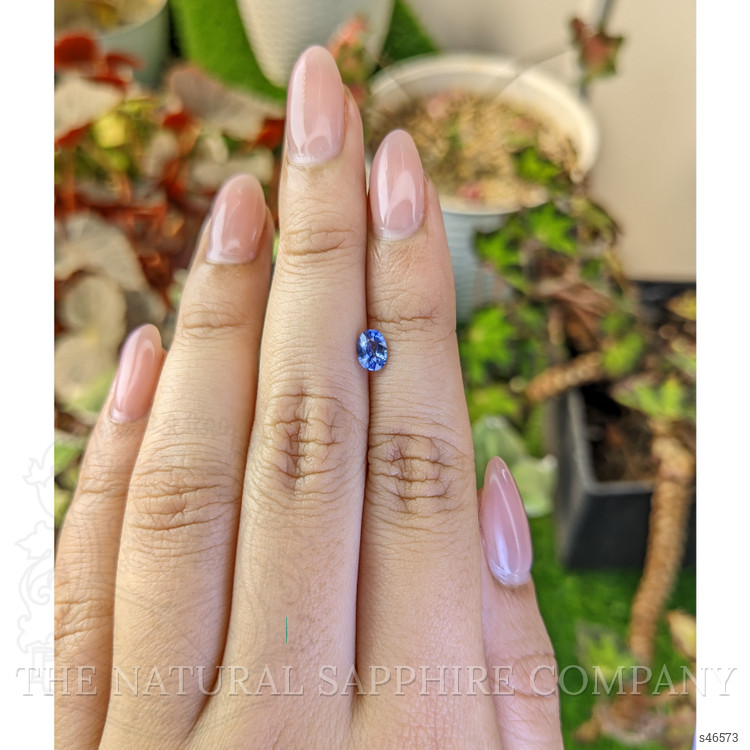 0.50 Ct. Blue Sapphire from Ceylon (Sri Lanka)