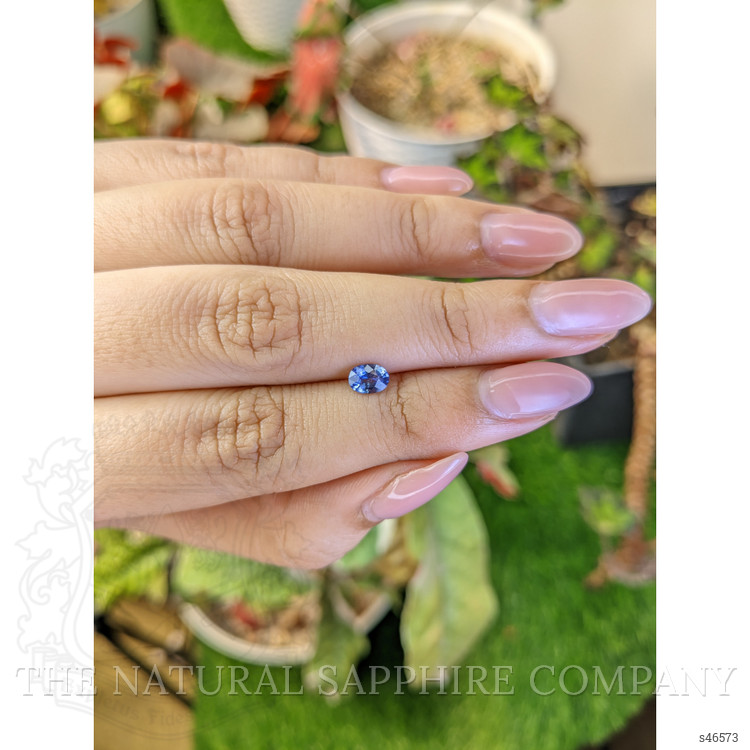 0.50 Ct. Blue Sapphire from Ceylon (Sri Lanka)