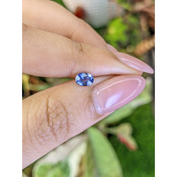 0.50 Ct. Blue Sapphire from Ceylon (Sri Lanka) Life Style